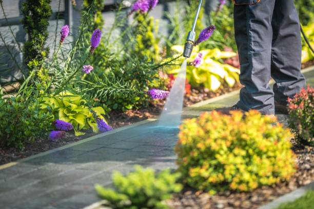 Best Patio and Deck Pressure Washing  in Stockton, IL