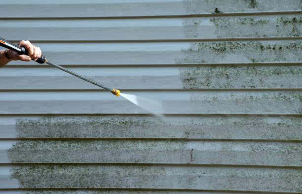 Trusted Stockton, IL Pressure Washing Services Experts