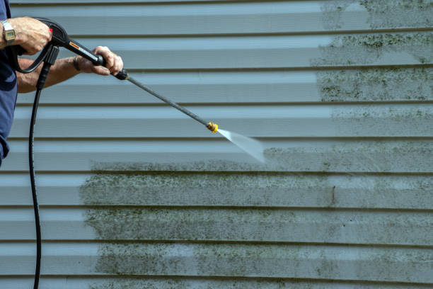 Best Boat and Dock Cleaning  in Stockton, IL