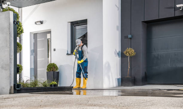 Boat and Dock Cleaning in Stockton, IL